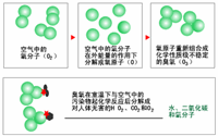 臭氧消毒器的結(jié)構(gòu)是怎樣的？